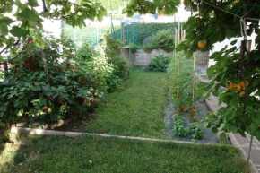 Giardino e orticello.